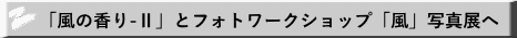 「風の香り-Ⅱ」とフォトワークショップ「風」写真展へ 