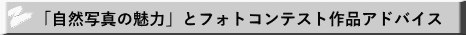 「自然写真の魅力」とフォトコンテスト作品アドバイス
