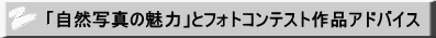 「自然写真の魅力」とフォトコンテスト作品アドバイス